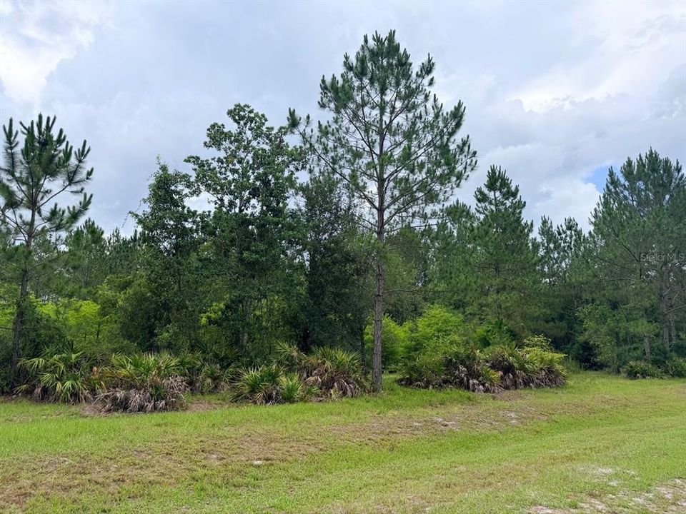 For Sale: $789,900 (65.45 acres)