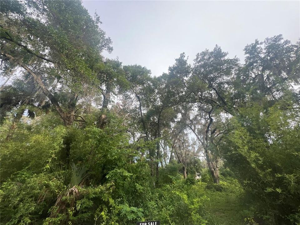 For Sale: $79,000 (0.95 acres)