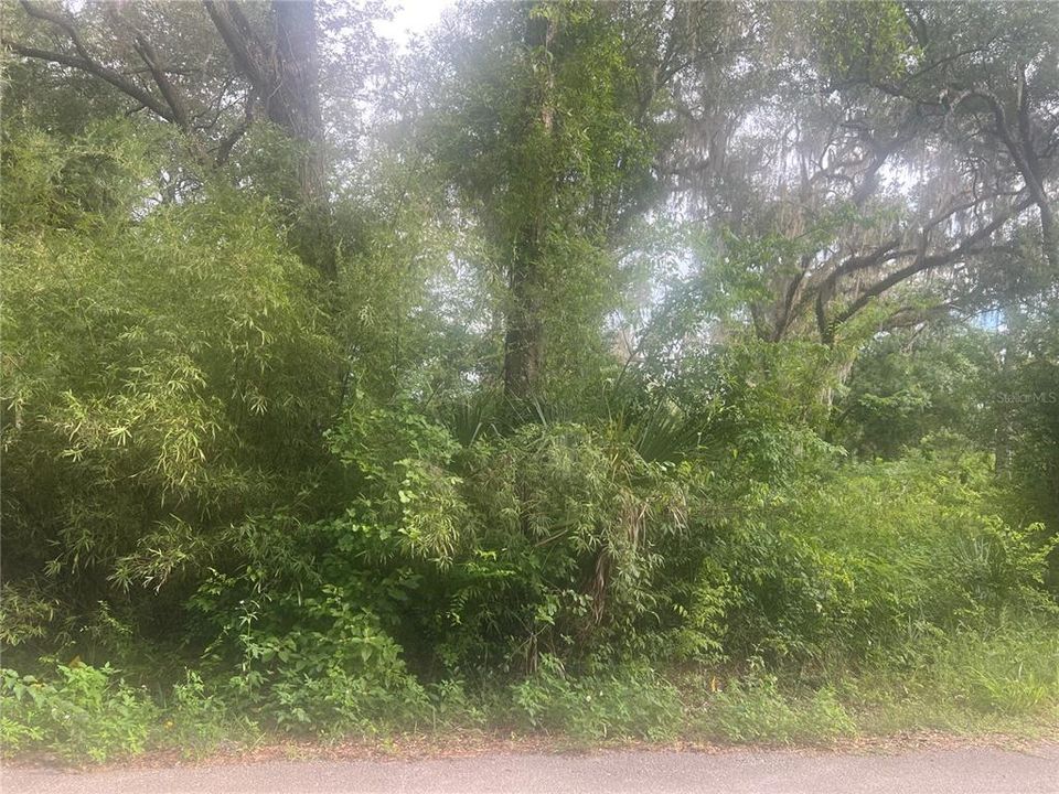 For Sale: $79,000 (0.95 acres)