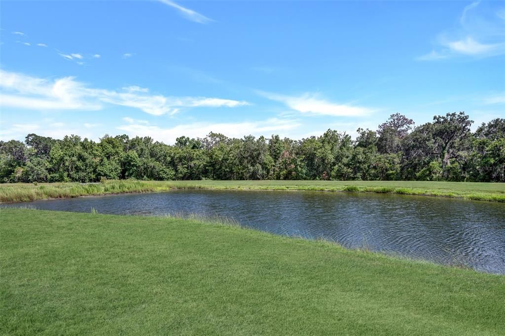 For Sale: $255,000 (2 beds, 2 baths, 1383 Square Feet)