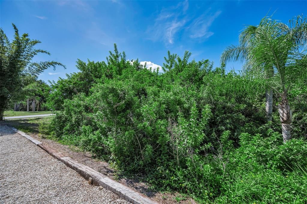 For Sale: $490,000 (4 beds, 2 baths, 1685 Square Feet)