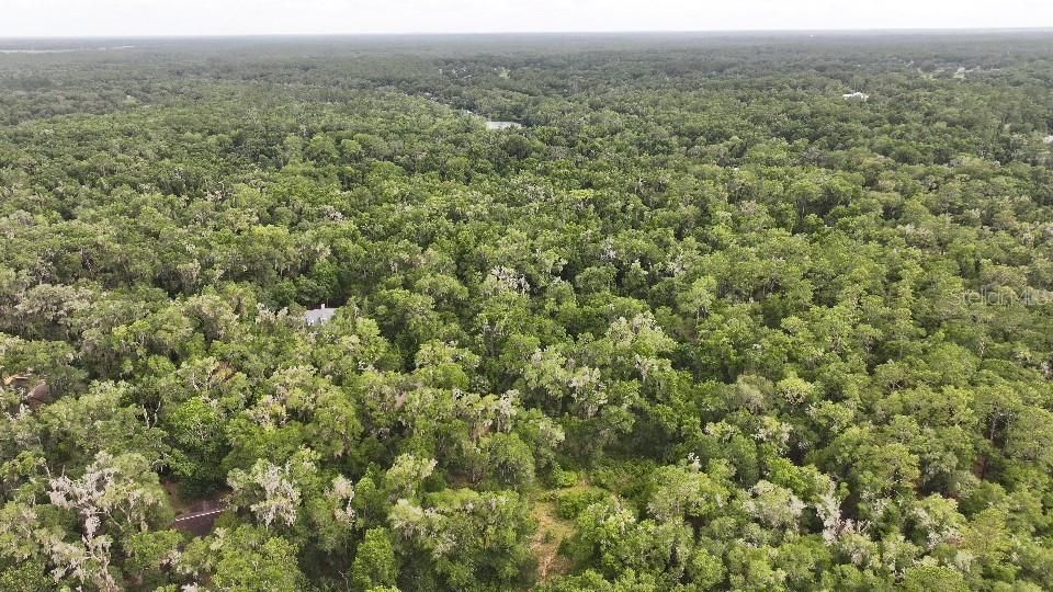 For Sale: $275,000 (3.02 acres)