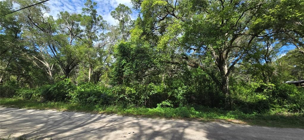 For Sale: $100,000 (1.21 acres)