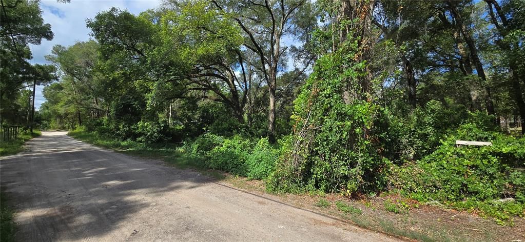 For Sale: $100,000 (1.21 acres)