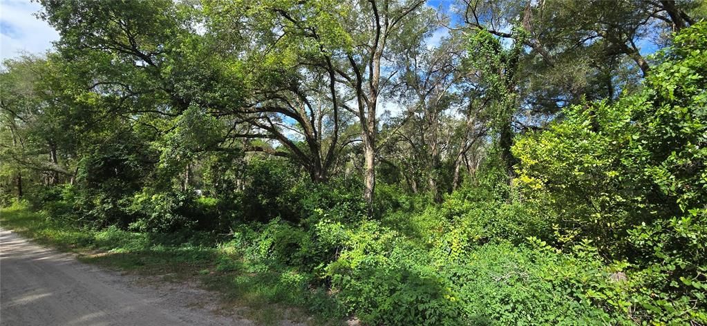 For Sale: $100,000 (1.21 acres)