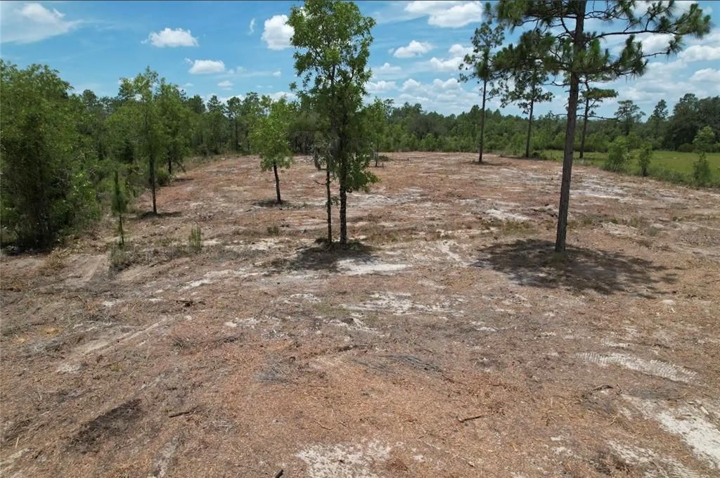 For Sale: $52,995 (2.50 acres)