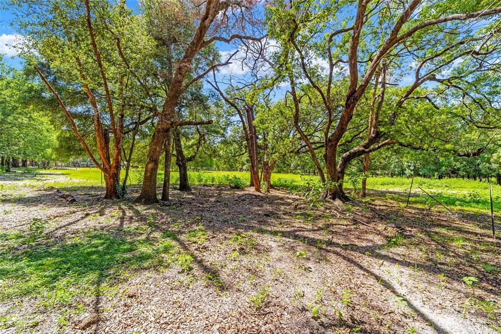 En Venta: $325,000 (3 camas, 2 baños, 2186 Pies cuadrados)