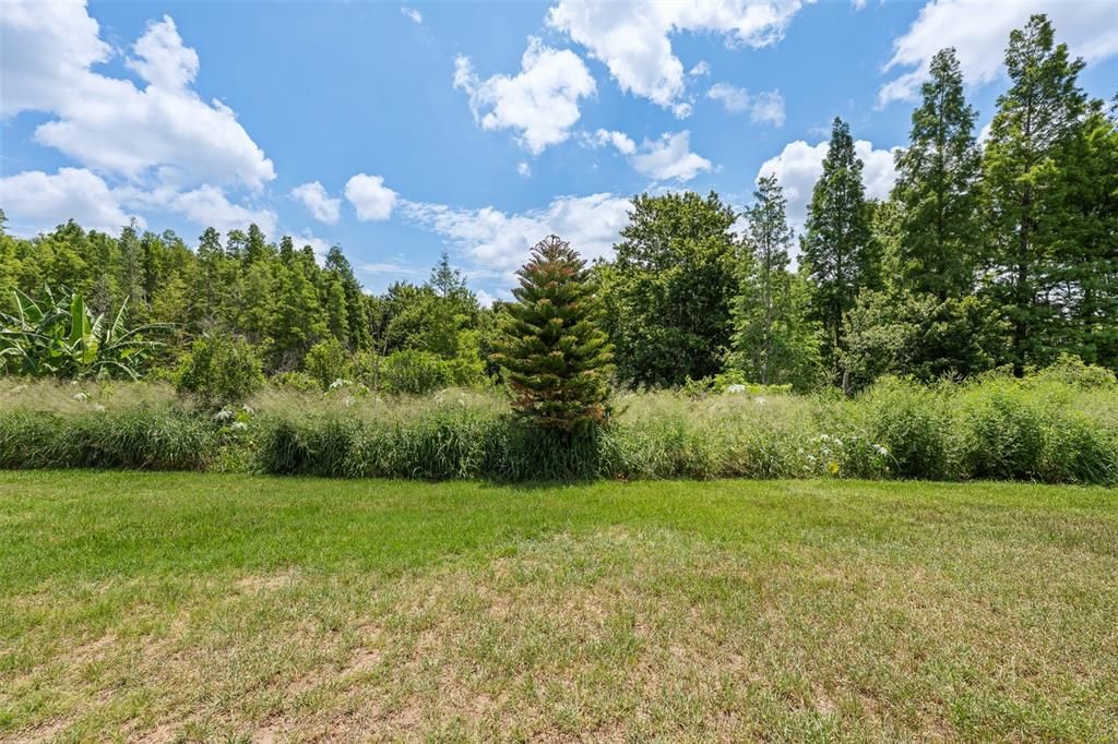 На продажу: $449,000 (4 спален, 2 ванн, 2426 Квадратных фут)