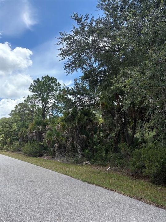 For Sale: $15,000 (0.23 acres)