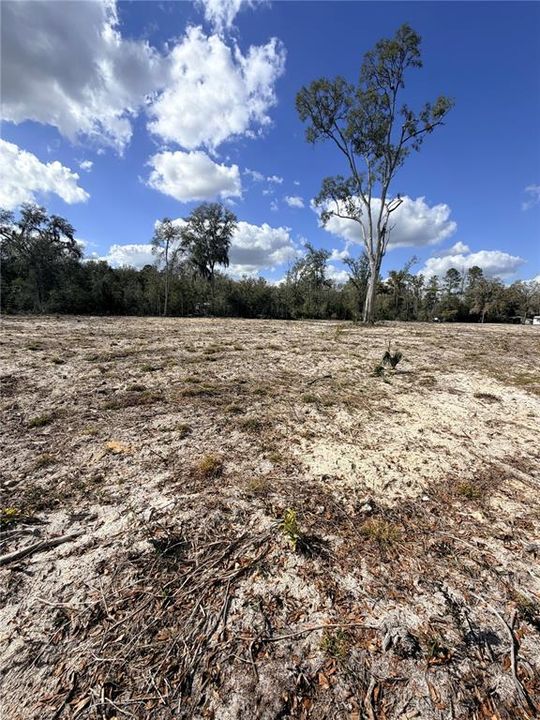 En Venta: $65,000 (3.15 acres)