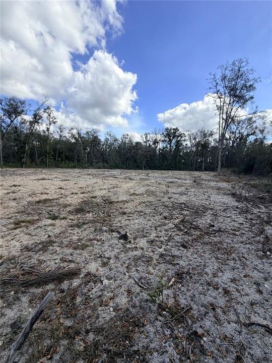 En Venta: $65,000 (3.15 acres)