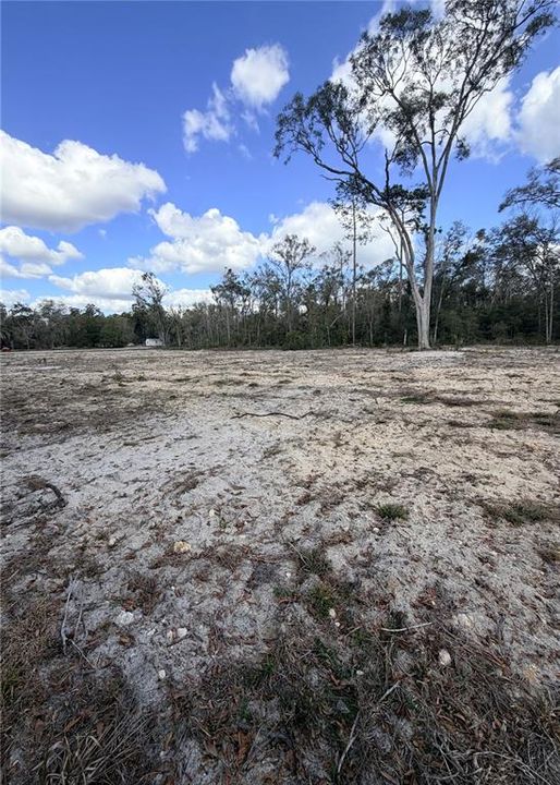 En Venta: $65,000 (3.15 acres)