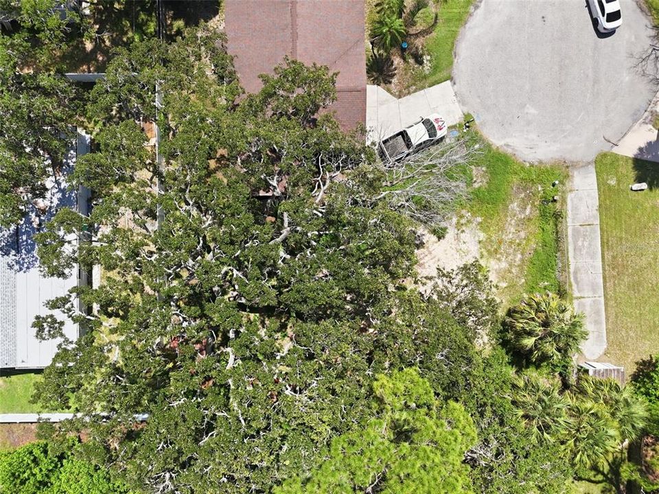 For Sale: $35,000 (0.14 acres)