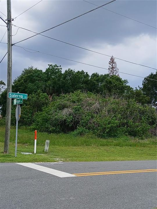 For Sale: $50,000 (0.29 acres)