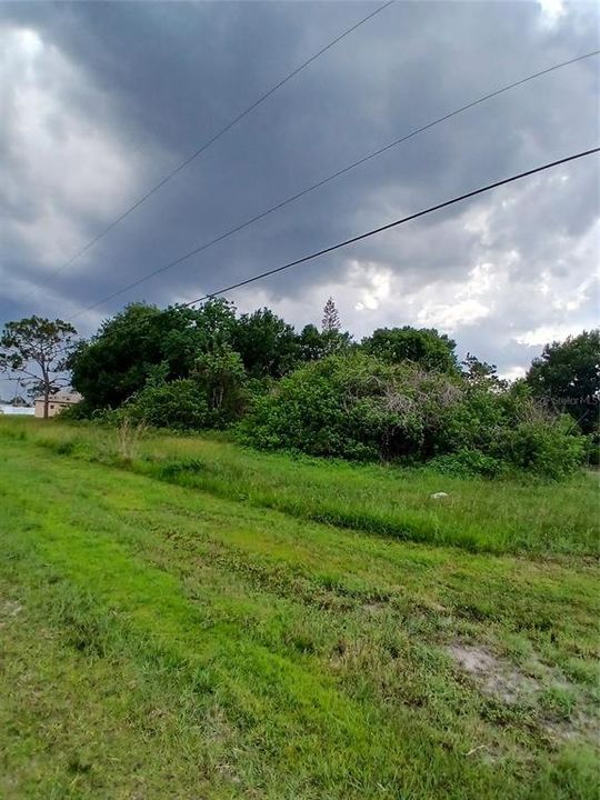 For Sale: $50,000 (0.29 acres)