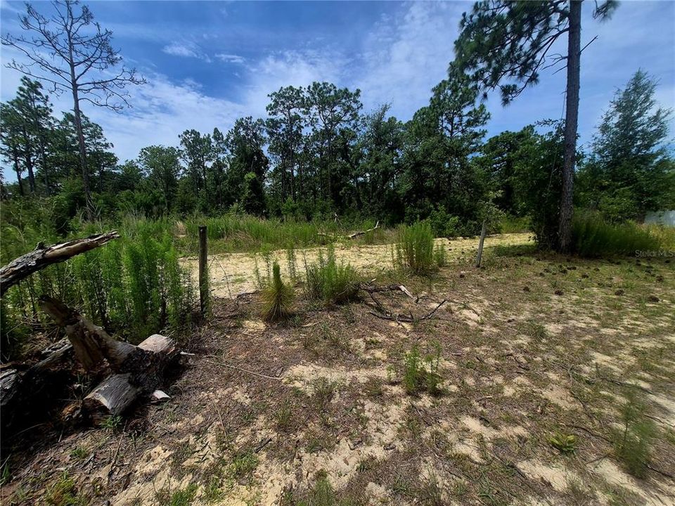 For Sale: $58,900 (0.50 acres)