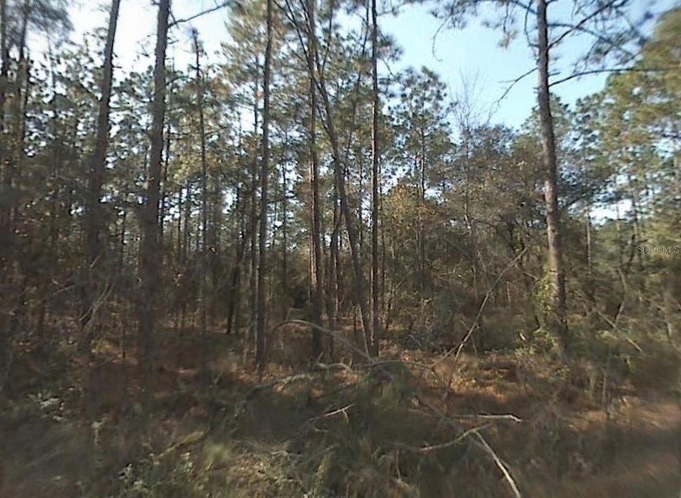 En Venta: $35,000 (0.84 acres)