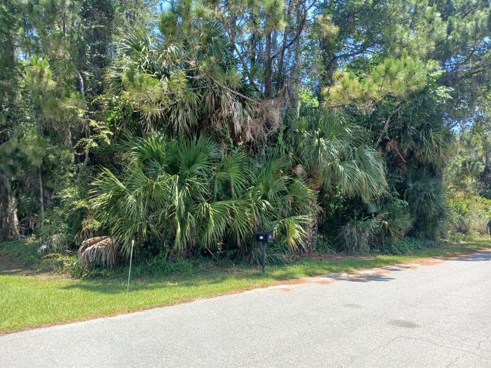 For Sale: $28,000 (0.17 acres)