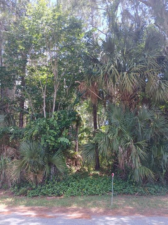 For Sale: $28,000 (0.17 acres)