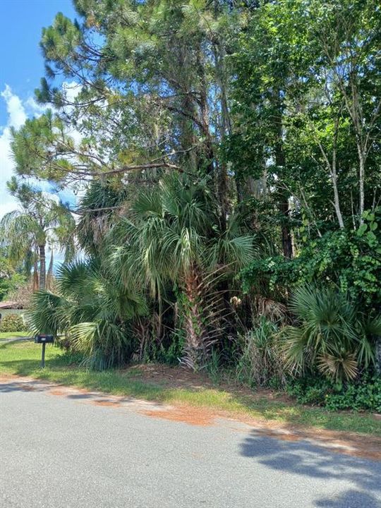 For Sale: $28,000 (0.17 acres)
