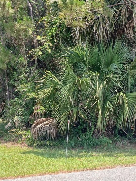 For Sale: $28,000 (0.17 acres)