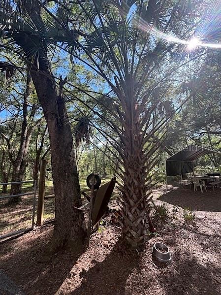 For Sale: $248,500 (17.22 acres)