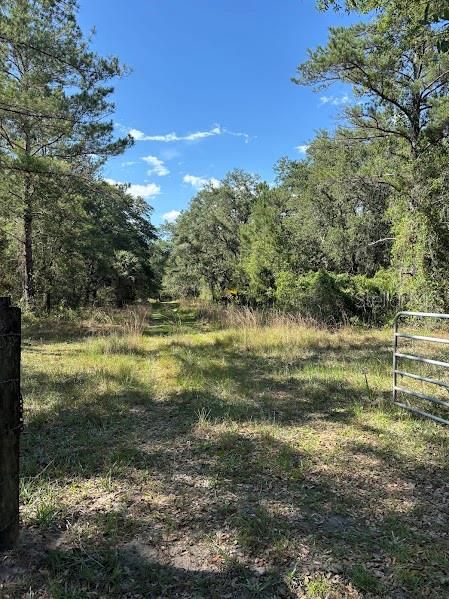 For Sale: $248,500 (17.22 acres)