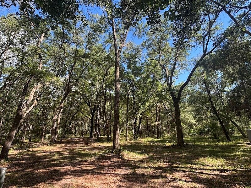 For Sale: $248,500 (17.22 acres)