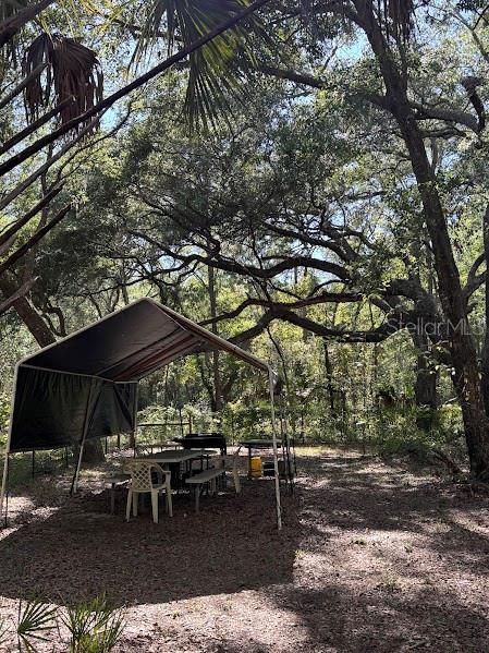For Sale: $248,500 (17.22 acres)