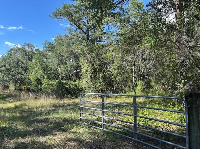 For Sale: $248,500 (17.22 acres)