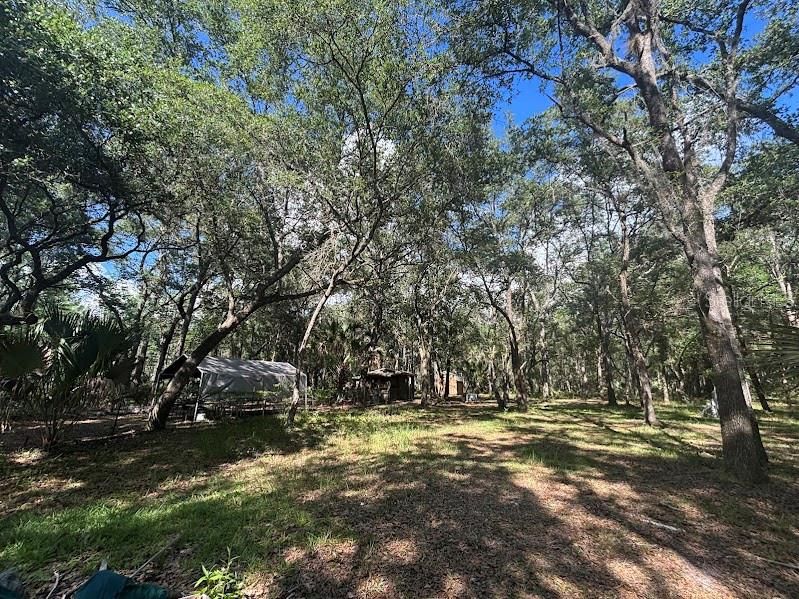 For Sale: $248,500 (17.22 acres)
