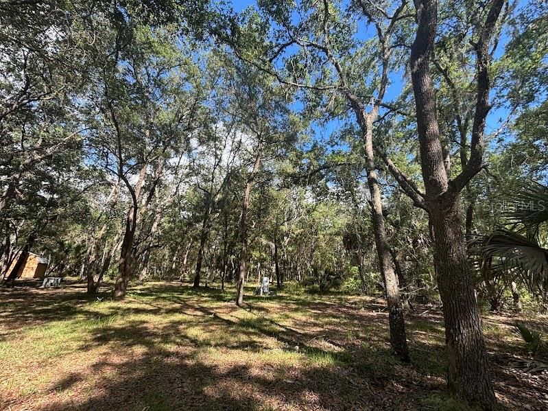 For Sale: $248,500 (17.22 acres)