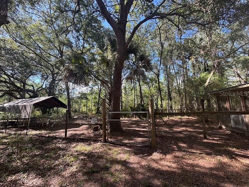 For Sale: $248,500 (17.22 acres)