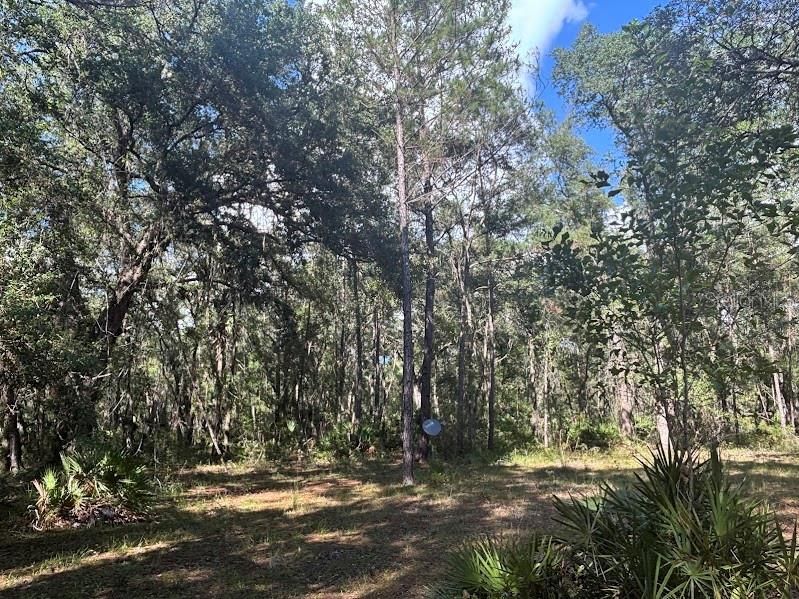 For Sale: $248,500 (17.22 acres)