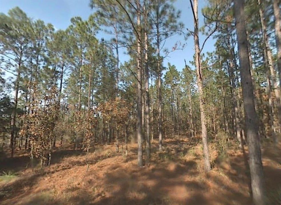 En Venta: $35,000 (0.94 acres)