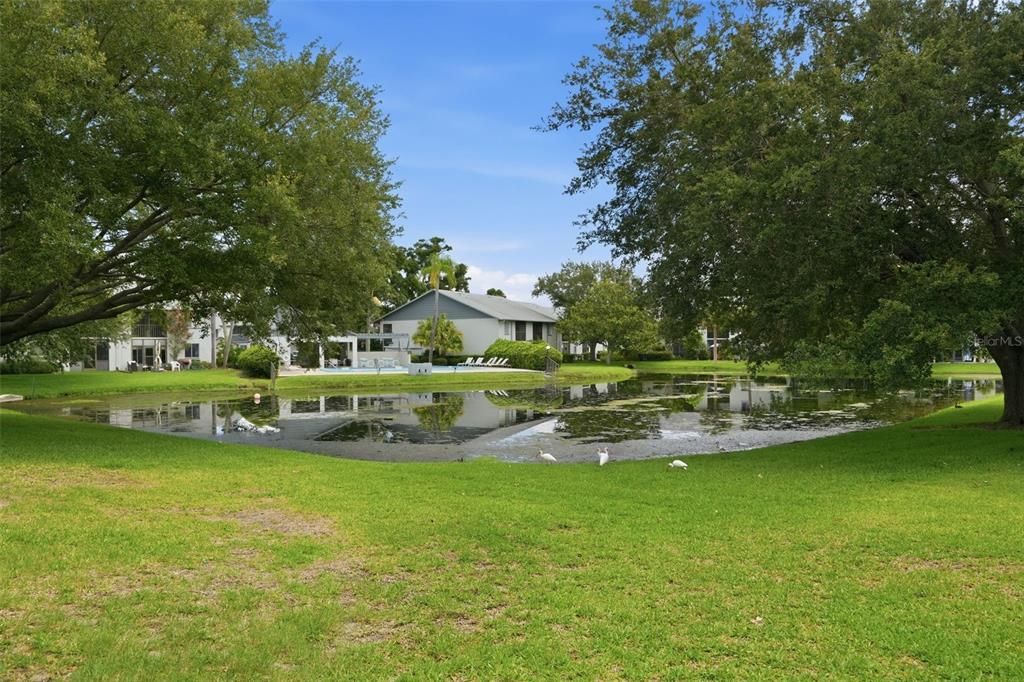 For Rent: $2,100 (2 beds, 2 baths, 960 Square Feet)