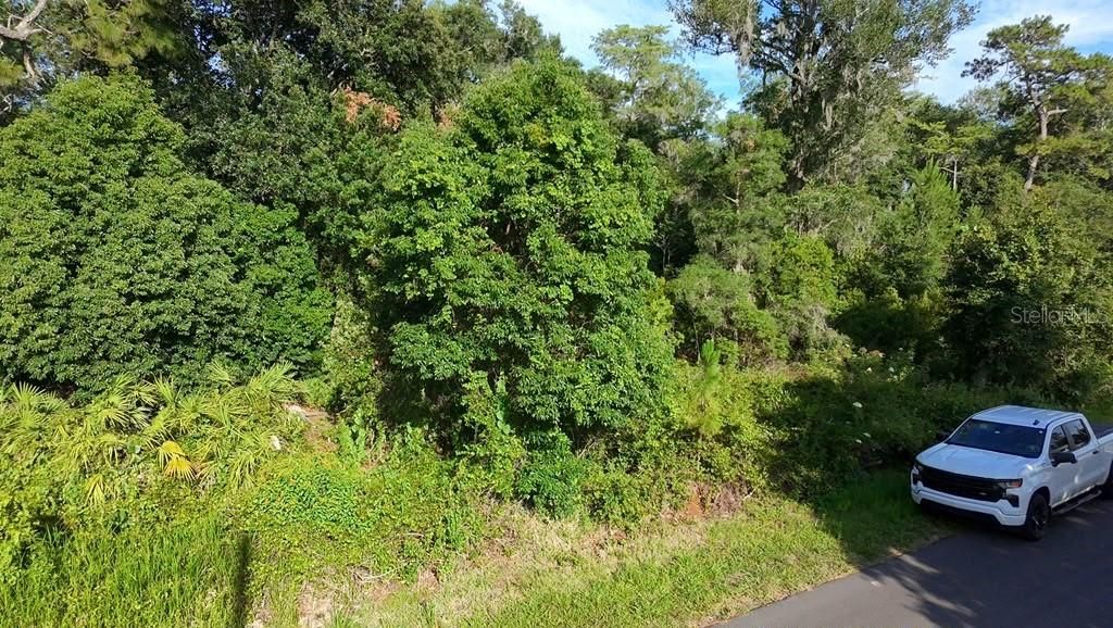 For Sale: $55,000 (0.26 acres)