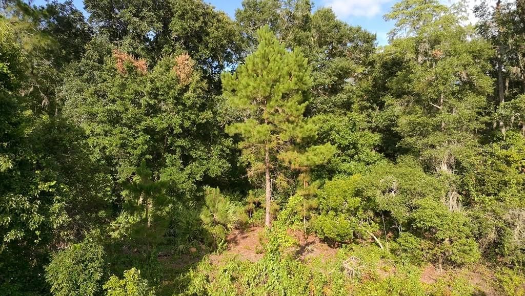 For Sale: $55,000 (0.26 acres)
