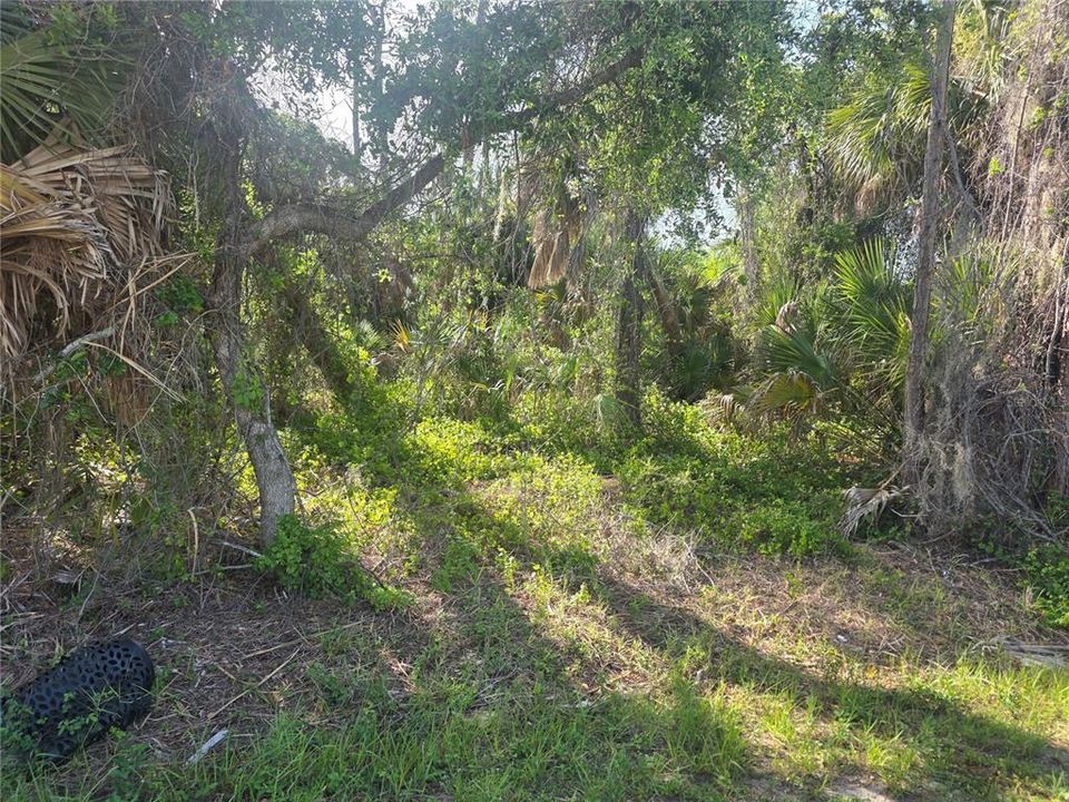 En Venta: $24,500 (0.26 acres)