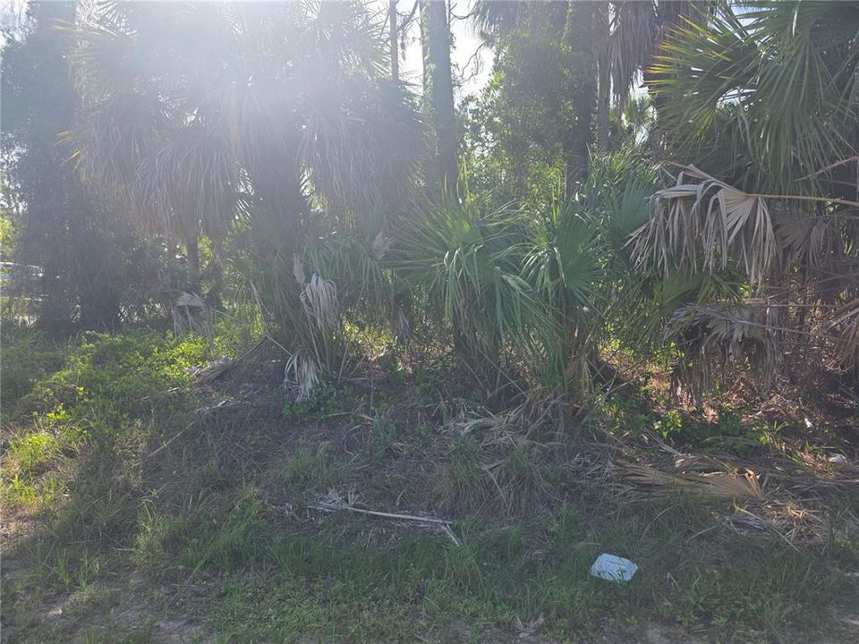 En Venta: $24,500 (0.26 acres)