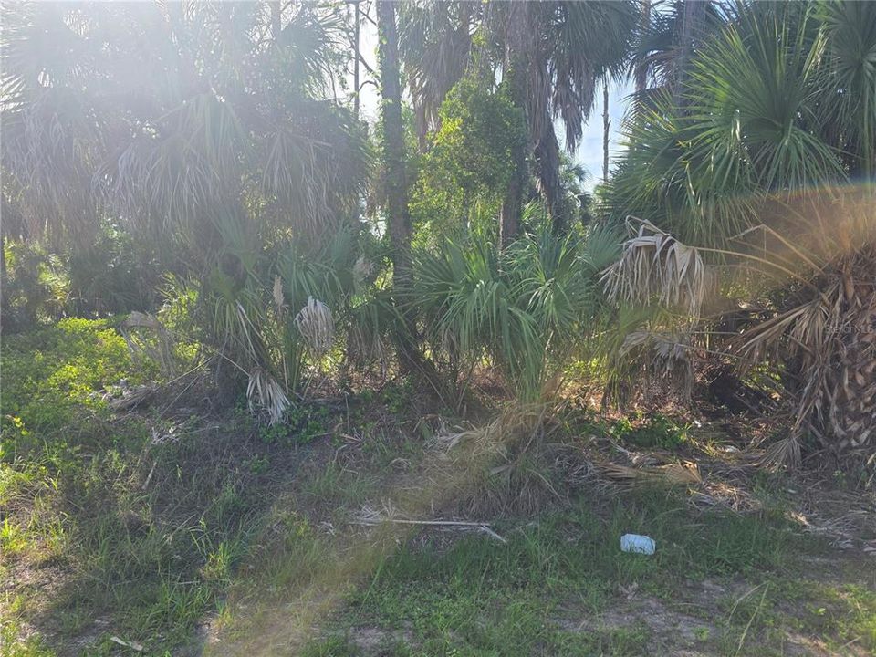 En Venta: $24,500 (0.26 acres)