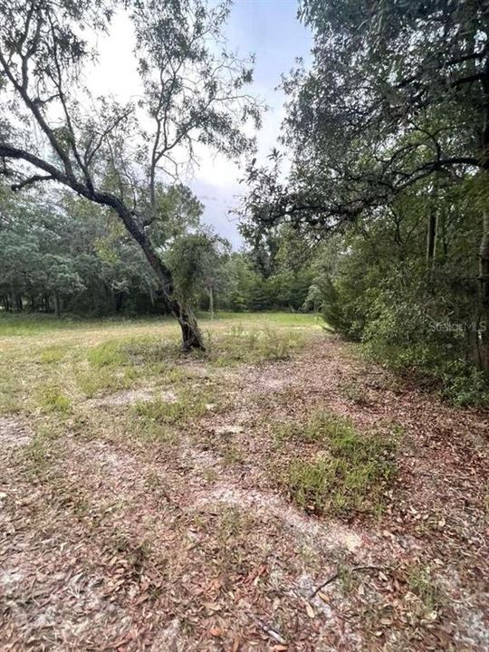 For Sale: $129,900 (5 beds, 2 baths, 1369 Square Feet)