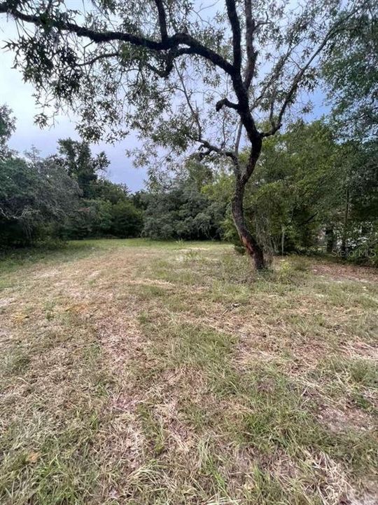 For Sale: $129,900 (5 beds, 2 baths, 1369 Square Feet)