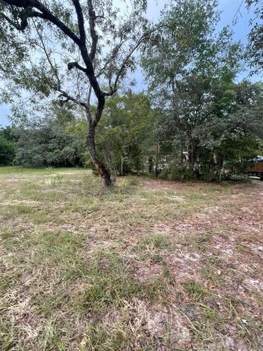 For Sale: $129,900 (5 beds, 2 baths, 1369 Square Feet)