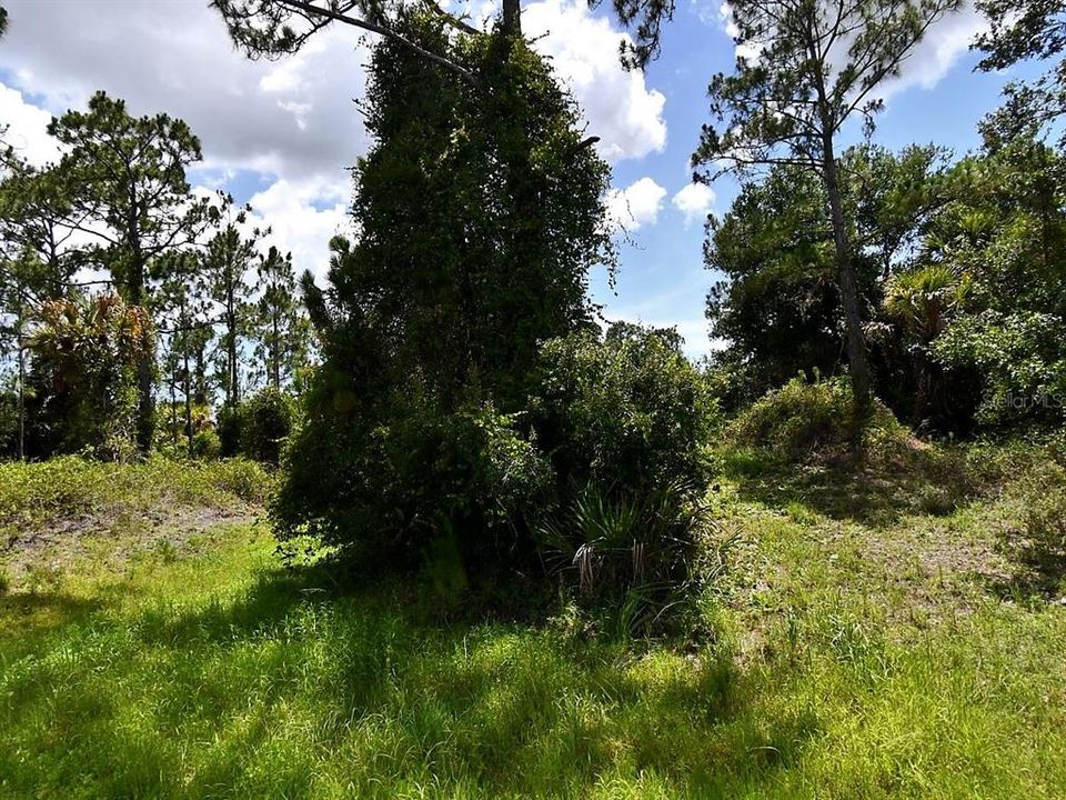 For Sale: $31,000 (0.48 acres)