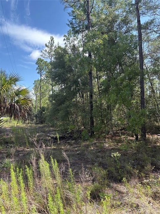 На продажу: $25,000 (1.01 acres)