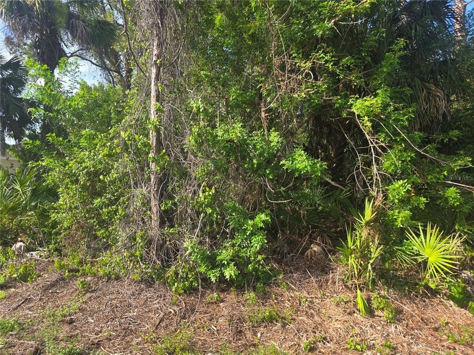 En Venta: $24,500 (0.23 acres)
