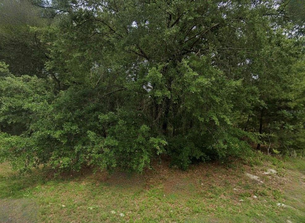 For Sale: $39,000 (1.80 acres)