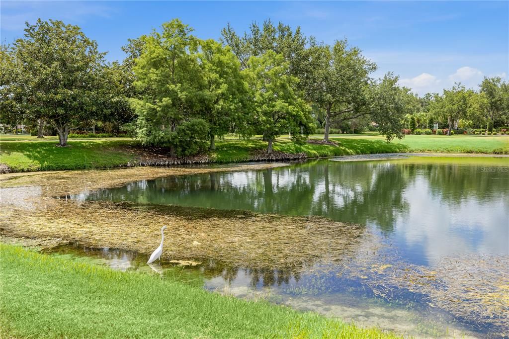 For Sale: $425,000 (2 beds, 2 baths, 1576 Square Feet)