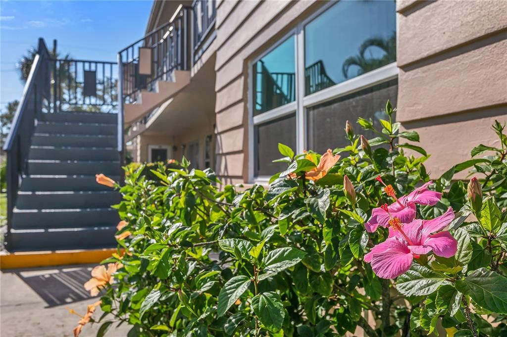 For Sale: $245,000 (2 beds, 1 baths, 765 Square Feet)